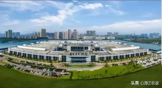 世界显示 “屏”什么看合肥？