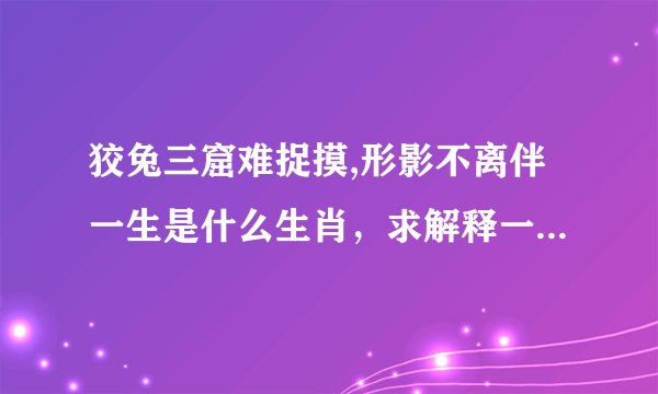 狡兔三窟难捉摸,形影不离伴一生是什么生肖，求解释一下谢谢？