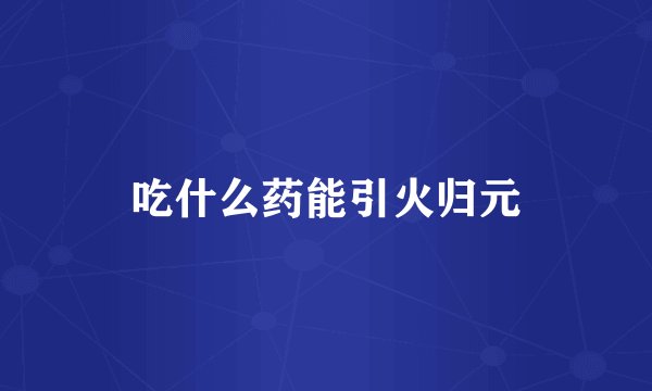 吃什么药能引火归元