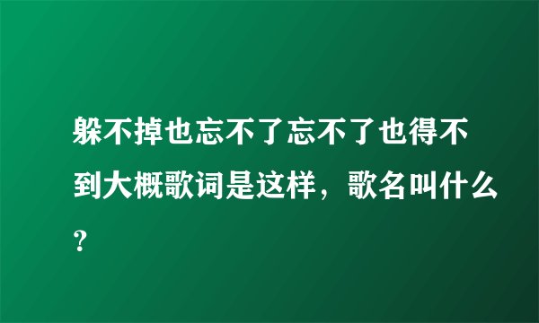 躲不掉也忘不了忘不了也得不到大概歌词是这样，歌名叫什么？