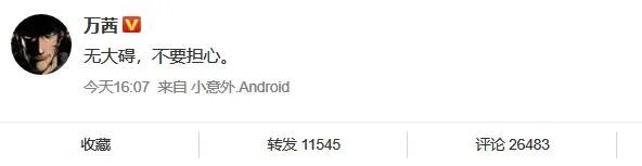 万茜发文报平安是怎么回事 万茜发文报平安回应车祸骨折