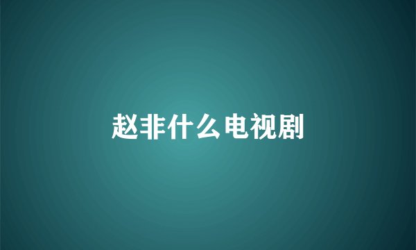 赵非什么电视剧