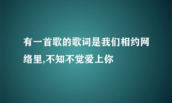 有一首歌的歌词是我们相约网络里,不知不觉爱上你