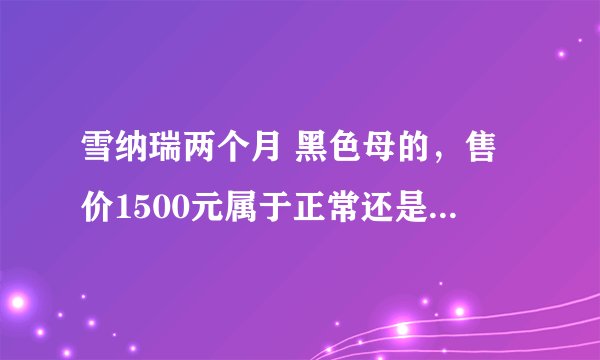 雪纳瑞两个月 黑色母的，售价1500元属于正常还是便宜还是贵了？