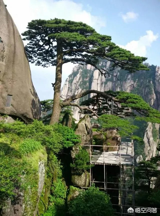 在你看来“江南四大名城”（南京、扬州、苏州、黄山）哪个最美？