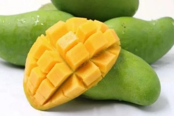 青芒果怎么保存 青芒如何保存