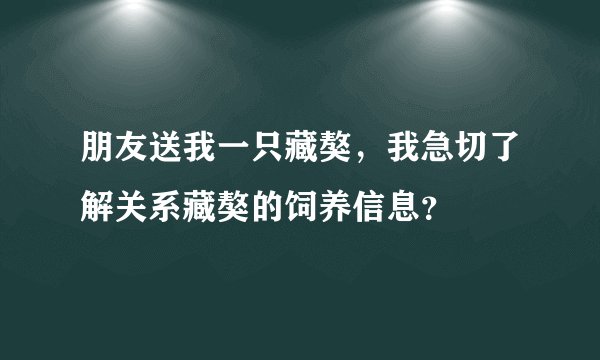 朋友送我一只藏獒，我急切了解关系藏獒的饲养信息？