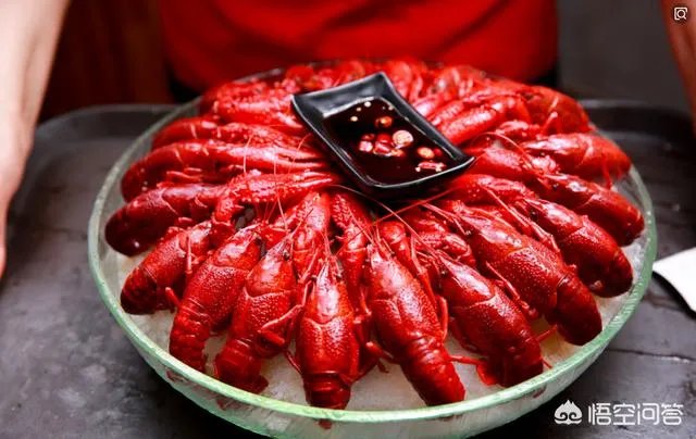 怎么养殖龙虾种苗?