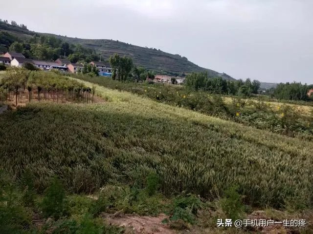 想听听你遇到过最难的事？是怎么度过的？