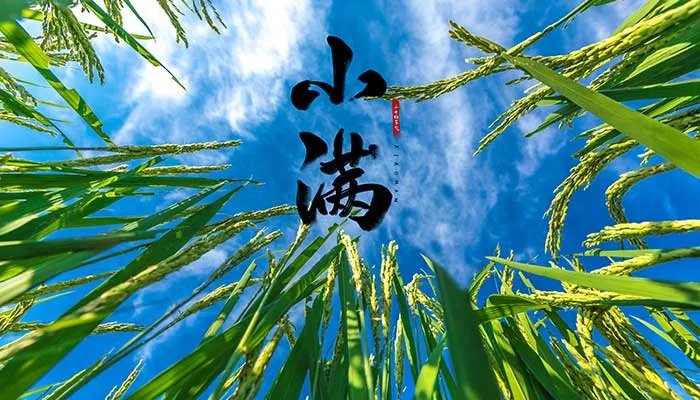 小满的寓意 小满代表的含义是什么