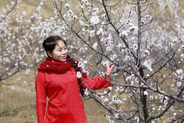 农村姑娘崔苗：为成名花百万上星光大道，被骗40万，后来怎样了？