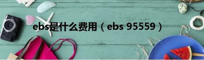 ebs是什么费用（ebs 95559）