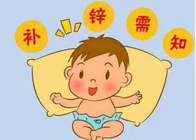 一天摄入多少zn