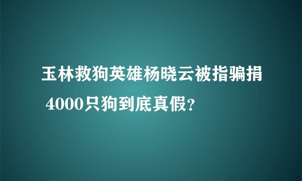 玉林救狗英雄杨晓云被指骗捐 4000只狗到底真假？