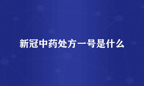 新冠中药处方一号是什么