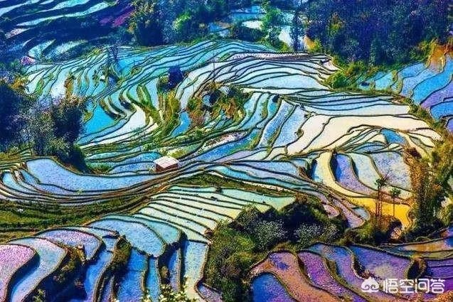 为什么越来越多的成都人选择去米易过冬？