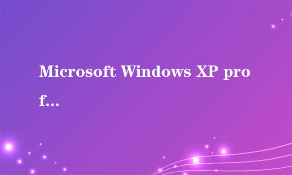 Microsoft Windows XP professional是什么意思