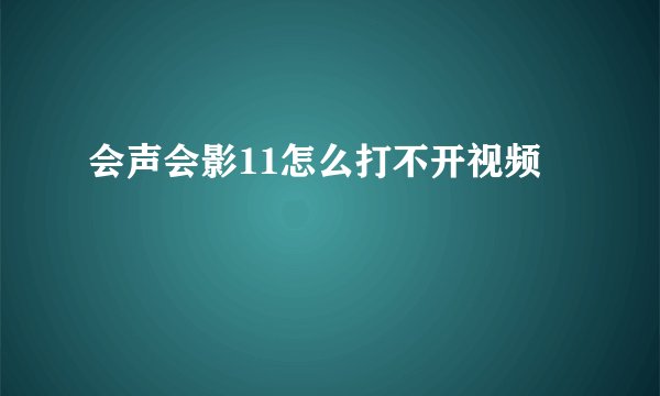 会声会影11怎么打不开视频