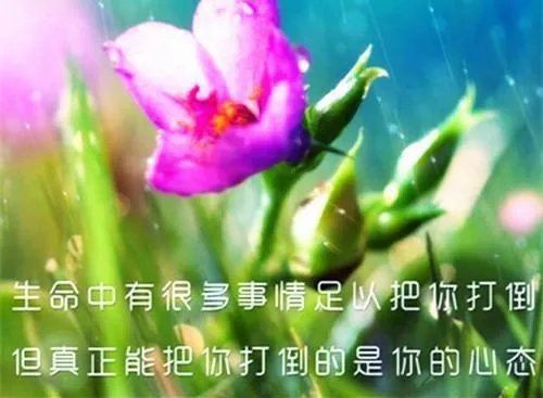 一念执着是轻尘(简凝vs霍司泽) 一念执着是轻尘全本小说阅读