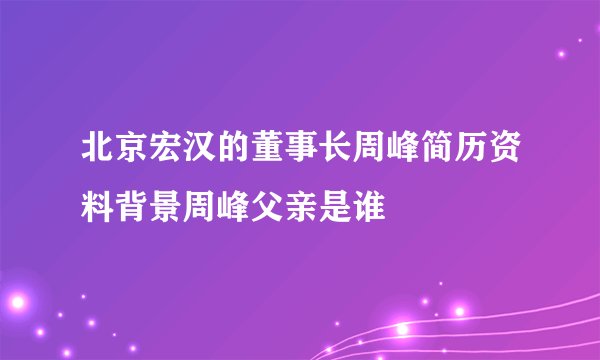 北京宏汉的董事长周峰简历资料背景周峰父亲是谁