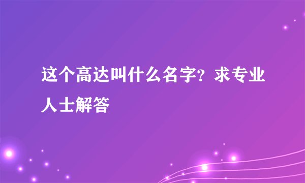 这个高达叫什么名字？求专业人士解答
