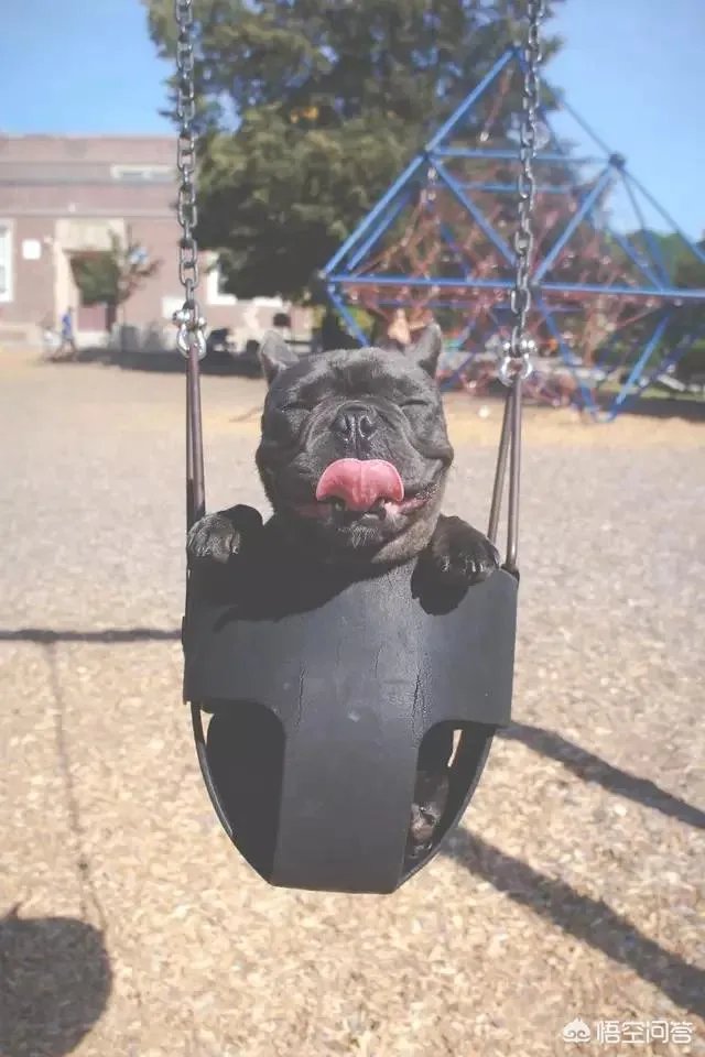 有哪些清新可爱的手机壁纸可以推荐？