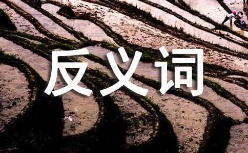 瞬息万变的近反义词