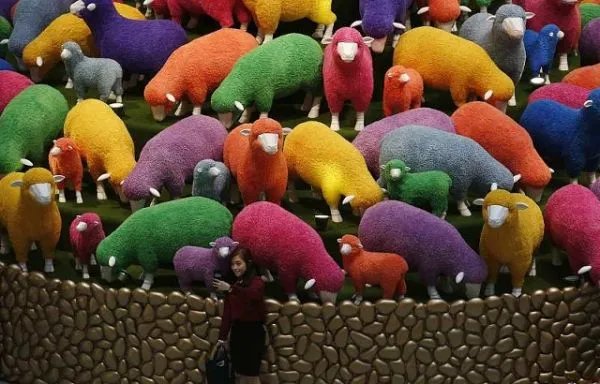 为什么十二生肖中没有猫