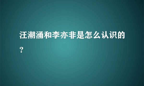 汪潮涌和李亦非是怎么认识的？