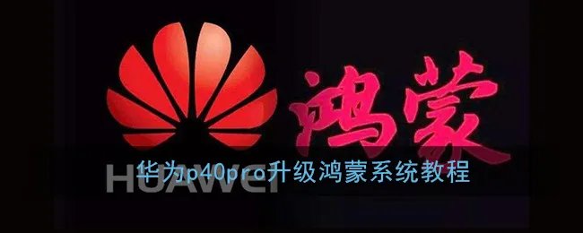 华为p40pro升级鸿蒙系统教程