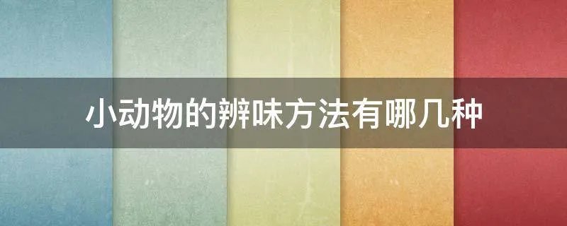 小动物的辨味方法有哪几种