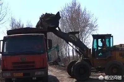 如果人常不在家住还要交卫生费吗