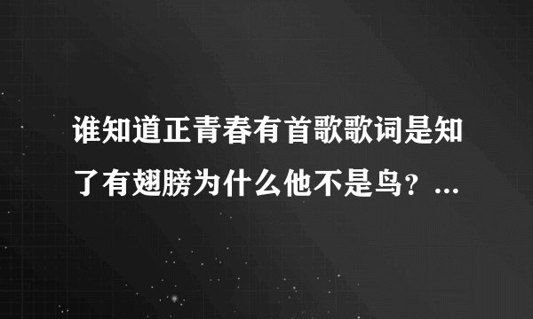 谁知道正青春有首歌歌词是知了有翅膀为什么他不是鸟？谁告诉下，谢？