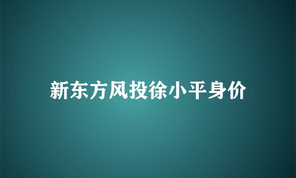 新东方风投徐小平身价