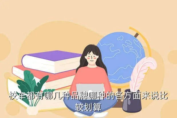 蓝鸟校车，请问BLUEBIRD20i是什么车啊 中文名称