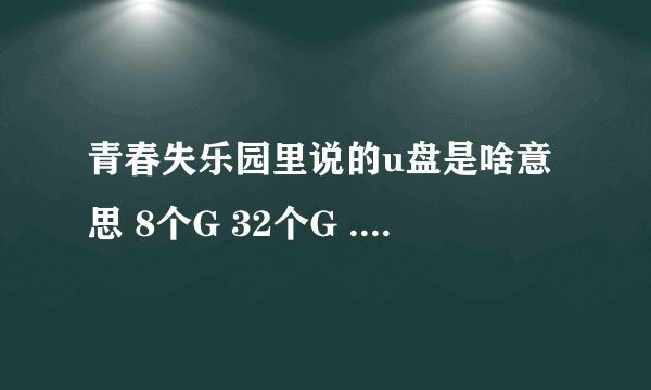 青春失乐园里说的u盘是啥意思 8个G 32个G .... 求解！