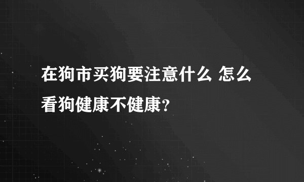 在狗市买狗要注意什么 怎么看狗健康不健康？