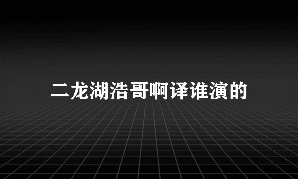 二龙湖浩哥啊译谁演的