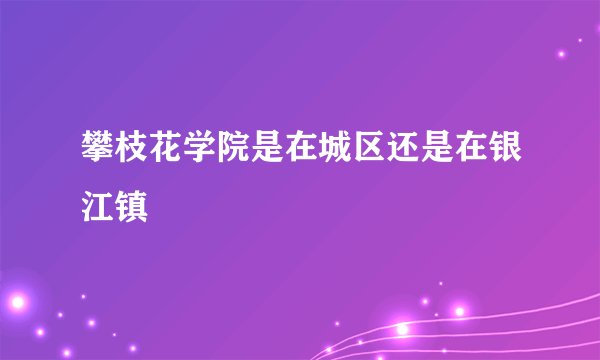 攀枝花学院是在城区还是在银江镇