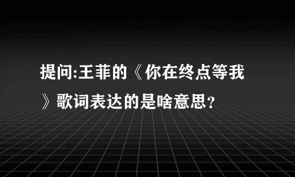 提问:王菲的《你在终点等我》歌词表达的是啥意思？