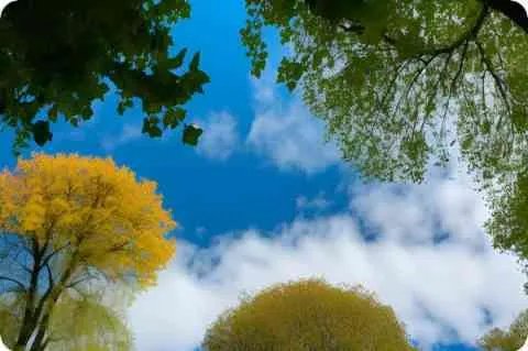 国籍中国和中国香港有区别吗？ 国籍中国和中华人民共和国有区别吗？