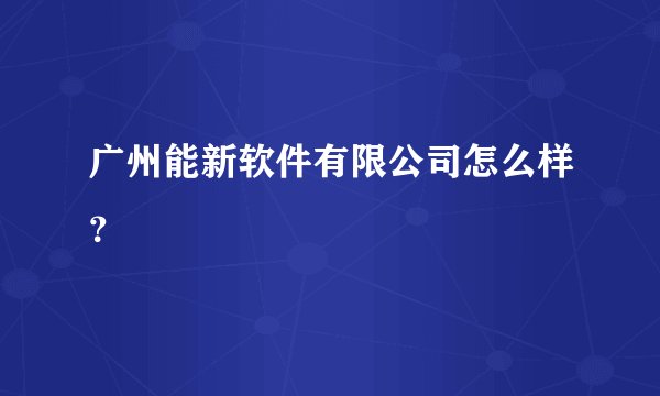 广州能新软件有限公司怎么样？