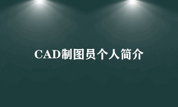 CAD制图员个人简介