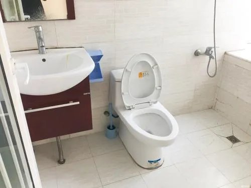 有移位器不可以用虹吸马桶