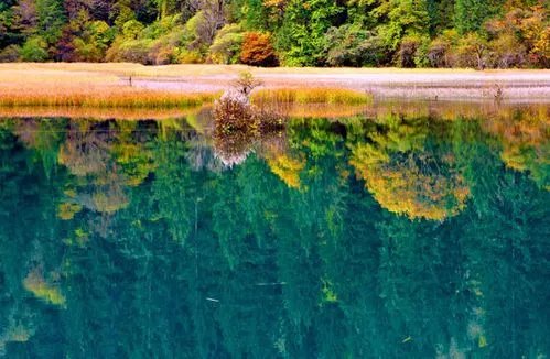 九寨沟旅游自助旅游全攻略