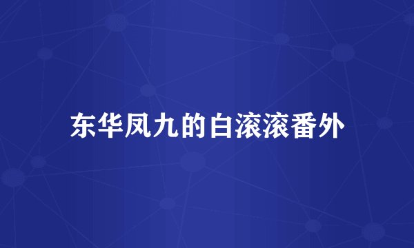 东华凤九的白滚滚番外