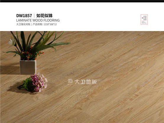 家的向往丨大卫地板网络系列 承载美好生活