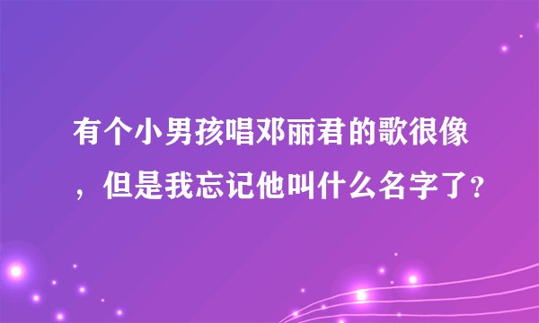 有个小男孩唱邓丽君的歌很像，但是我忘记他叫什么名字了？