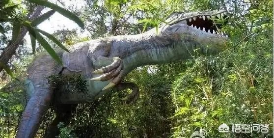 厦门野山谷好玩吗？