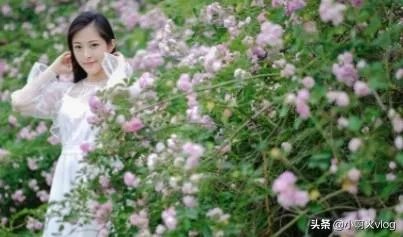 王子文花式瑜伽引发模仿热潮,但是哪类人可别跟着学?